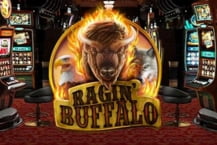 Ragin' Buffalo
