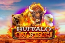Buffalo on Fire!
