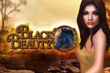 Black Beauty