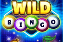 Wild Bingo