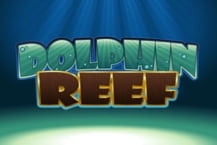 Dolphin Reef