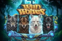 4 Wild Wolves