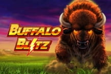 Buffalo Blitzâ„¢ PA