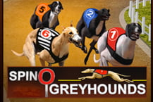 Spino Greyhounds