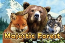 Majestic Forest