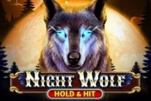 Night Wolf – Hold & Hit