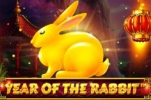Year Of The Rabbit