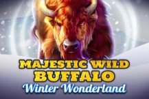 Majestic Wild Buffalo – Winter Wonderland