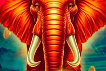 Coin Rush: Elephant Strike