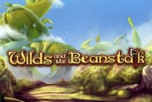 Wild and the Beanstalk