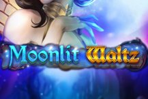 Moonlit Waltz Dice