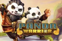 Panda Warrior