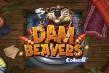 Dam Beavers