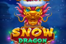 Snow Dragon