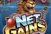 Net Gains