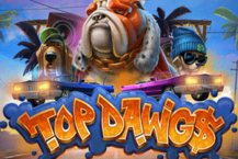 Top Dawg$
