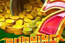 Burning Slots Dice