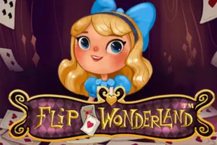 Flip Wonderland