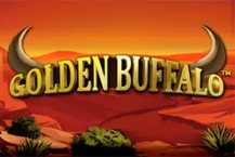 Golden Buffalo