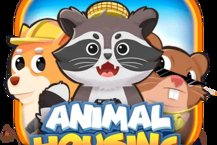 Animal Housing