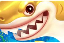 It’s Shark Time!