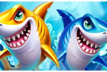 It's Shark Time! 2