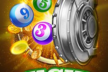 Lucky Bingo