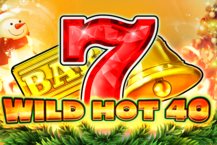 WildHot40Christmas