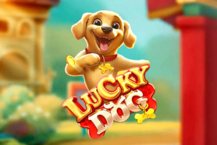 Lucky Dog