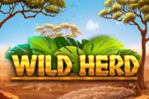 Wild Herd