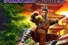 Shaolin Power