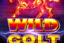 Wild Colt
