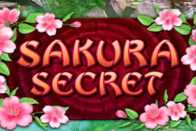 Sakura Secret