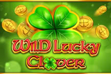 Wild Lucky Clover