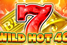 Wild Hot 40
