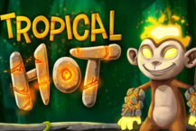 Tropical Hot