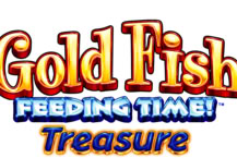 Gold Fish Feeding Time