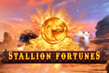 Stallion Fortunes