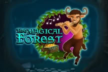 The Magical Forest