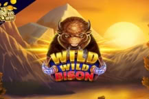 Wild Wild Bison