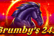 Brumby's 243