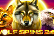 Wolf Spins 243