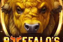 Buffalo S Wealth