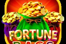 Fortune Bags