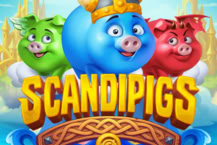 Scandipigs