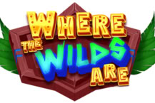 Where the Wilds Are