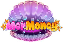 MerMoney