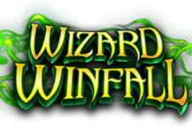 Wizard WinFall