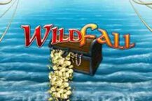 Wild Fall
