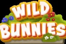 Wild Bunnies
